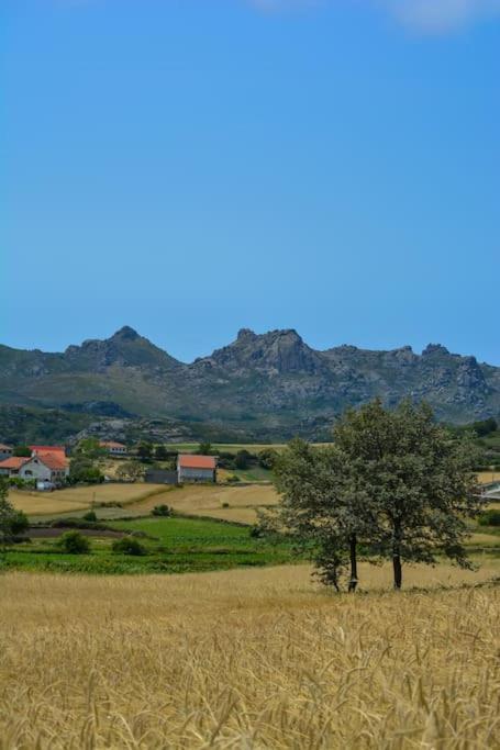 Holiday home Casa Fonte Fria *